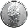 2023 Canada Mexico Skull 1 oz Silver Color Coin - COLOR EDITION