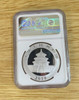 2019 china $10Y panda first day of issue MS69