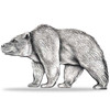 2021 1oz Chad Bear Shaped .999 Silver Antique High Relief Coin