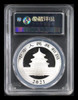 2021 - China 10 Yuan Panda Silver 30 g