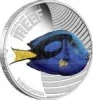 2012 Sea Life The Reef Surgeonfish