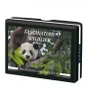2013 - Fascinating Wildlife #2 - Giant Panda Bear $10 Pure Silver Oval Antique Proof