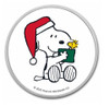 2023 - Peanuts® Snoopy Santa Holding Woodstock Colorized .999 Silver TEP &amp; Velvet Bag