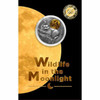 2021 - Raccoon Wildlife in the Moonlight Antique finish Silver Coin 2 Cedis Ghana