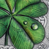 2022 - Keep Your Luck 50 g Antique finish Silver Coin 2000 Francs CFA Cameroun