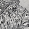 Buffalo Expressions of Wildlife 2 oz Antique finish Silver Coin Cameroon 2022