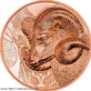 2021 - 50g Copper Mongolia - ARGALI Wildlife - Series Wild Mongolia