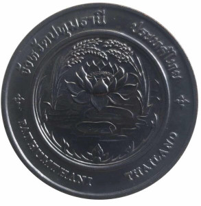 Commemorative coin, medal of PATHUMTHANI province size 4 cm