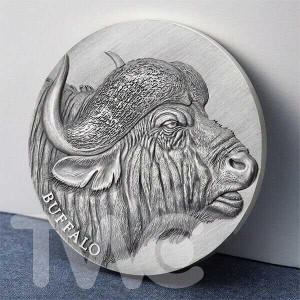Buffalo Expressions of Wildlife 2 oz Antique finish Silver Coin Cameroon 2022 physical Themes & Pop Culture Mint XXI