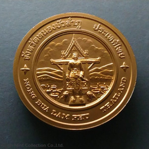 Commemorative coin, medal of NONG BUA LAM PHU province size 4 cm