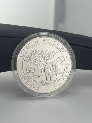 African Wildlife Elephant 1oz Fine Silver Somali Republic 2020 100 Shilling