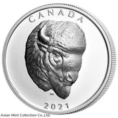 2021 Canada Buffalo Extraordinary High Relief 1 oz Silver Proof $25 Coin physical Themes & Pop Culture 