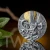 Green Mamba Wildlife in the Moonlight 2 oz Silver Coin 5$ Niue 2022