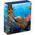 2010 Sea Life The Reef Moray Eel physical World Coins Perth Mint