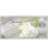 2024 5 Gram Colorized Mongolia Silver Year of the Dragon Note (Proof-like)
