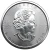 2023 Canada Mexico Skull 1 oz Silver Color Coin - COLOR EDITION