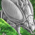 2022 - Macro Mantis Macro Insects 2 oz Antique finish Silver Coin 5$ Niue