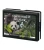 2013 - Fascinating Wildlife #2 - Giant Panda Bear $10 Pure Silver Oval Antique Proof