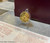 2008 China 100 Yuan 50th Anniversary of Ningxia Hui Tribe Autonomous Region 1/4oz Gold Proof Coins physical Gold Coins No Show Mint
