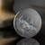 2023 - Black Rhino Expressions of Wildlife 2oz Antique finish Silver Coin Cameroon physical Themed Coins Mint XXI