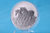 2023 - Australian Brumby Australia $1 Oz Silver 9999 ST/BU physical Themes & Pop Culture Perth Mint