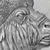 2022 - Buffalo Expressions of Wildlife 2 oz Antique finish Silver Coin Cameroon physical Themes & Pop Culture Mint XXI