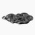 2022 Ghana Snake Skull Silver Plated 1 oz CN Coin - 2,000 Mintage