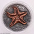 2019 - STARFISH World of Fossils 2 Oz Silver Coin 2$ Niue physical World Coins Mint of Poland