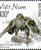 Vietnam FDC , 4 May 1998 - Asian Fierce Birds 400dong
