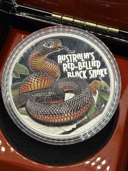 Tuvalu 2022 1$ Deadly & Dangerous RED-BELLIED BLACK SNAKE 1 Oz Pure Silver coin
