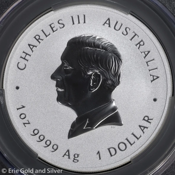 2025-P Australia Year of the Snake 1 oz Silver Coin CAC MS 70 | Uncirculated UNC