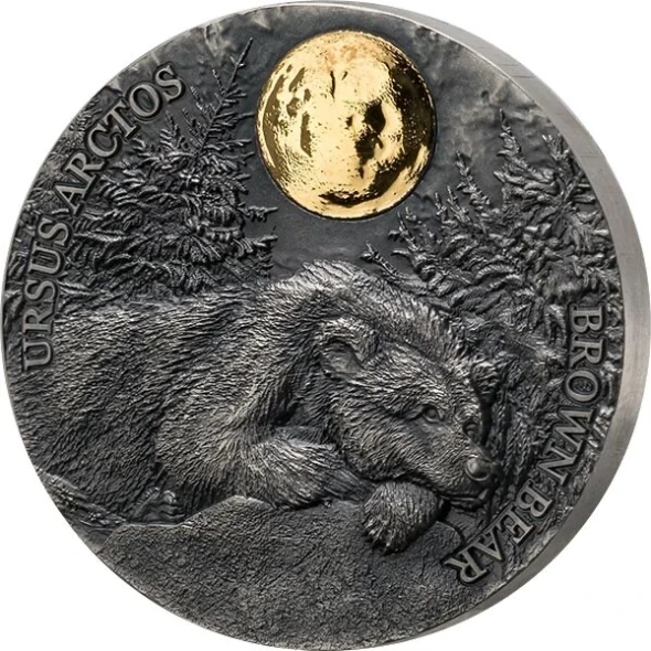 2021 Ghana Brown Bear Silver Coin Wildlife in the Moonlight High Relief RARE