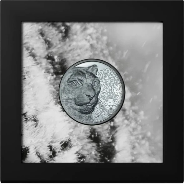 2024 Mongolia Wild Mongolia Snow Leopard 2 oz Silver Black Proof Coin