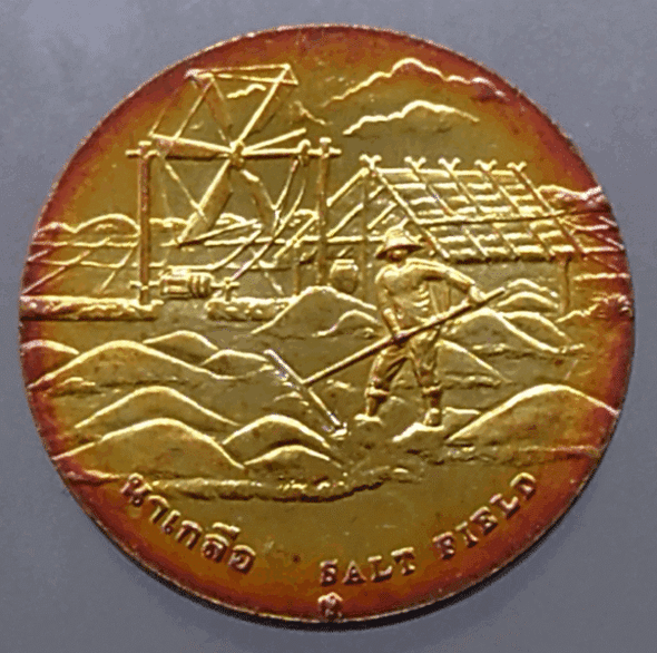Provincial commemorative coin of Samut Songkhram Province, 2.5 cm in diameter.