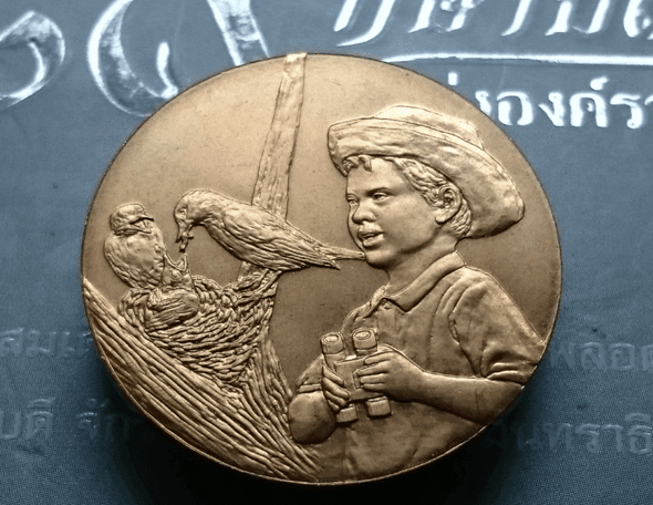 National Children's Day commemorative coin, year 2006