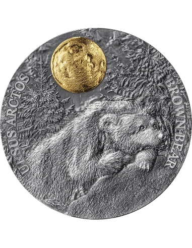 2023 - Brown Bear Wildlife in the Moonlight 2 oz Antique finish Silver Coin Niue