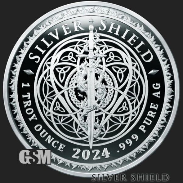 2024 1OZ GOVERNMENT IS THE PROBLEM PROOF - Silver Shield .999 Pure - "iN-HAND"