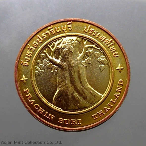 Commemorative coin, medal of PRACHIN BURI province size 2.5 cm