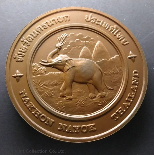 commemorative coin, medal of NAKHON NAYOK province size 7 cm