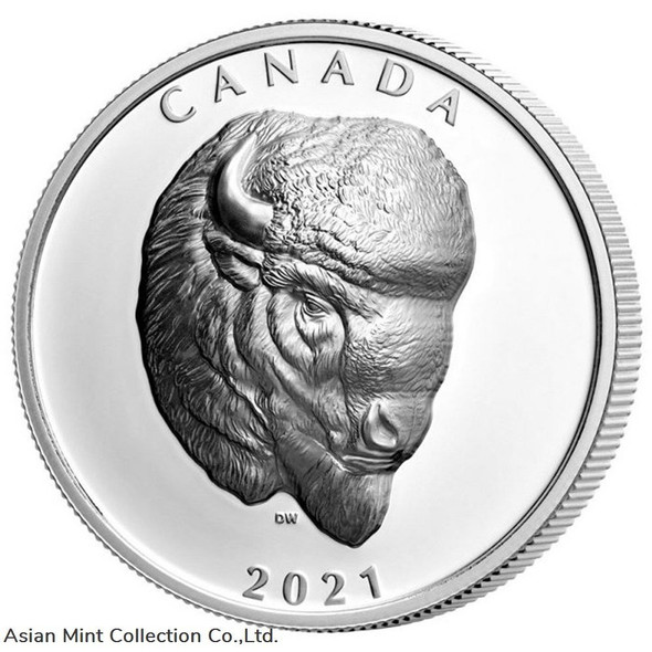 2021 Canada Buffalo Extraordinary High Relief 1 oz Silver Proof $25 Coin