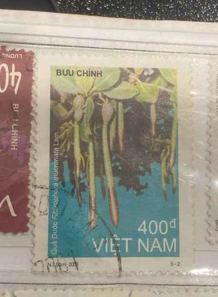 2001 Aquatic Plants 400 dong