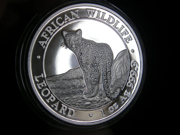 2018 Somali African Wildlife Leopard 1 oz silver 100 shillings in capsule