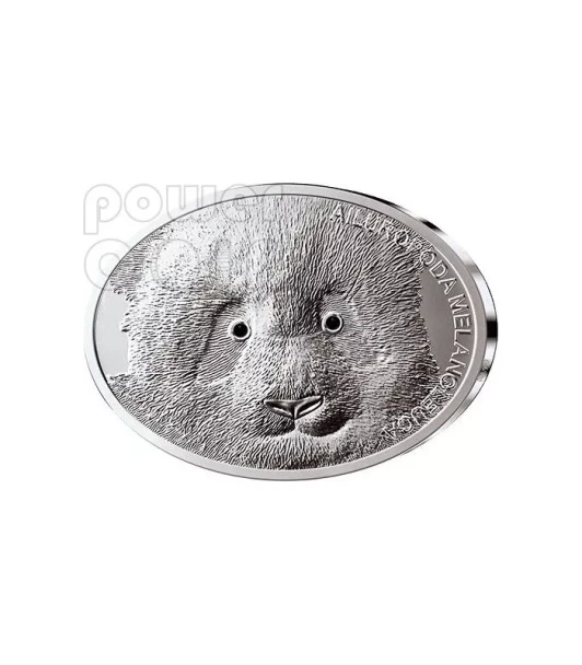 2013 - Fascinating Wildlife #2 - Giant Panda Bear $10 Pure Silver Oval Antique Proof