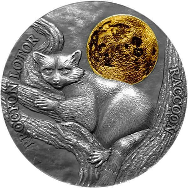 2021 - Raccoon Wildlife in the Moonlight Antique finish Silver Coin 2 Cedis Ghana