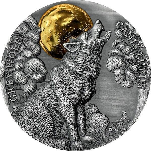 2021 - Grey Wolf Wildlife in the Moonlight 1/2 oz Antique finish Silver Coin Ghana