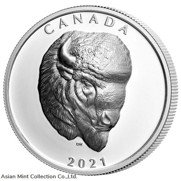 2021 Canada Buffalo Extraordinary High Relief 1 oz Silver Proof $25 Coin