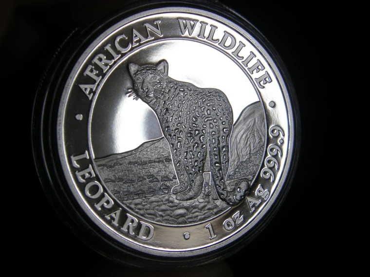 2018 Somali African Wildlife Leopard 1 oz silver 100 shillings in capsule