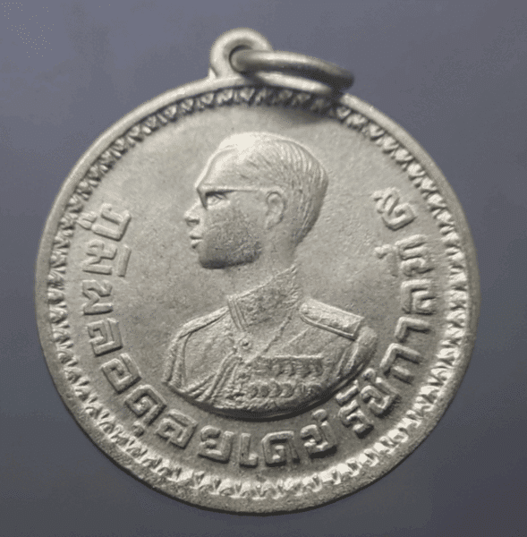 Hill tribe coin from Mae Hong Son province, code MS 093406, in beautiful condition.