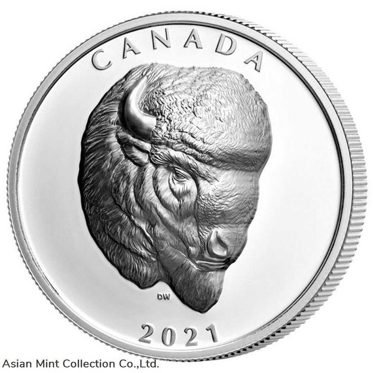 2021 Canada Buffalo Extraordinary High Relief 1 oz Silver Proof $25 Coin physical Themes & Pop Culture 
