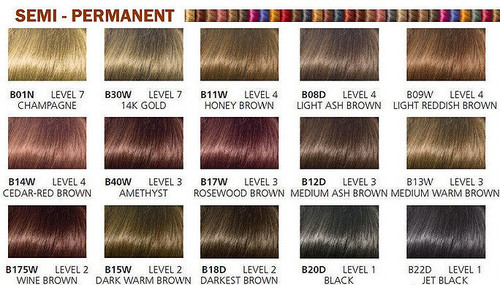 Clairol Color Chart Professional